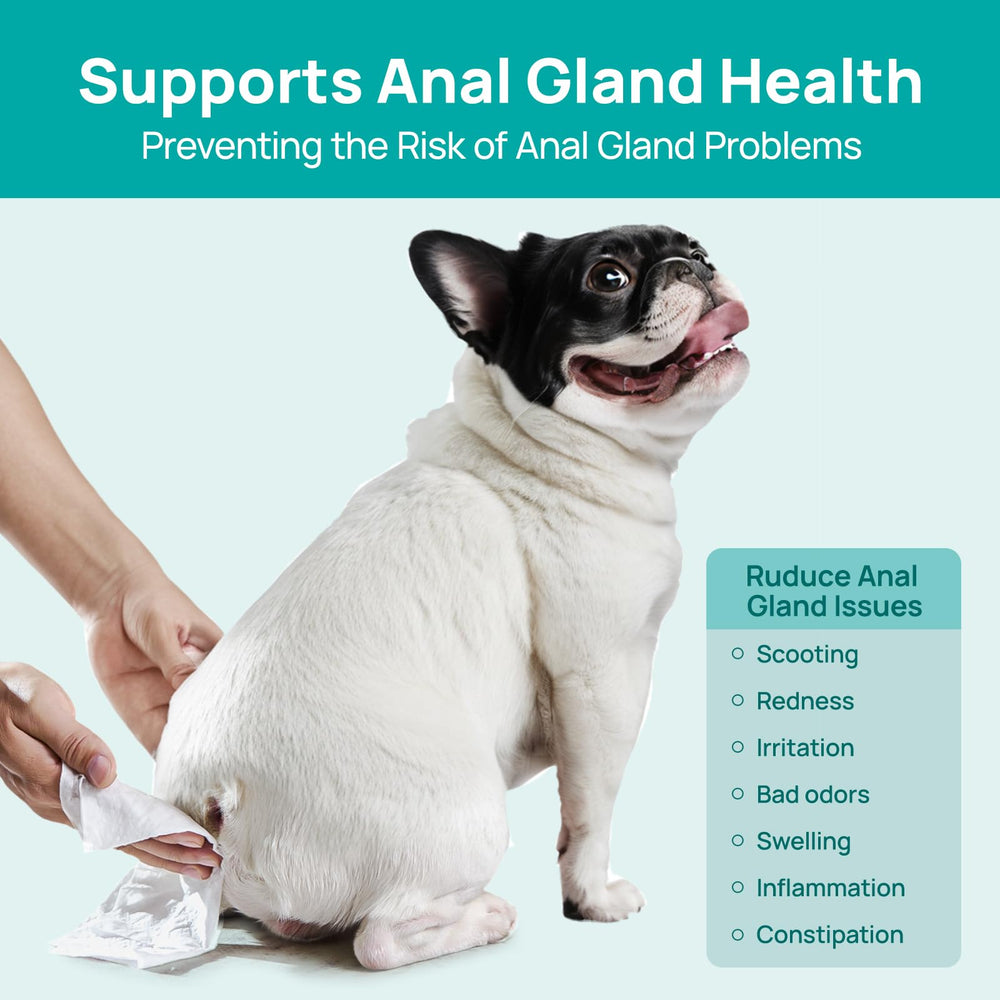 HICC PET Wipes used around the anal area for comfortable cleaning