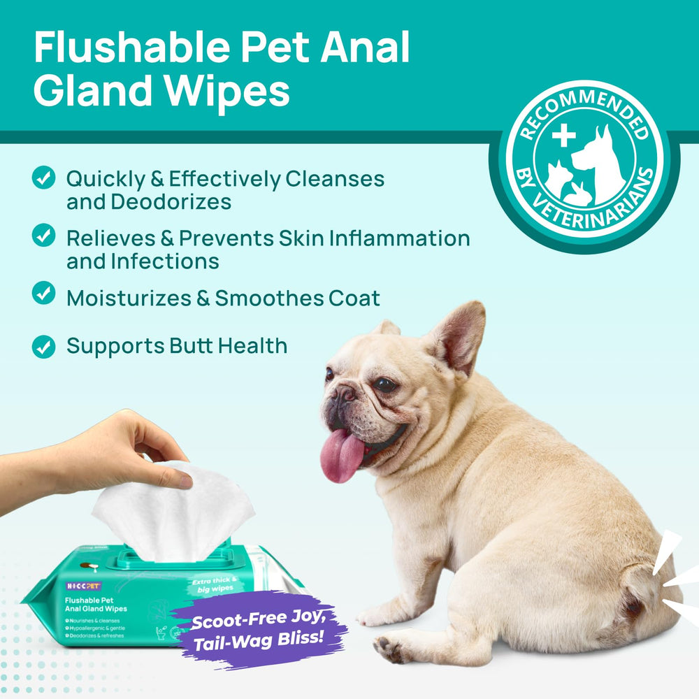 HICC PET Wipes used on a dog's paw for quick dirt and odor removal