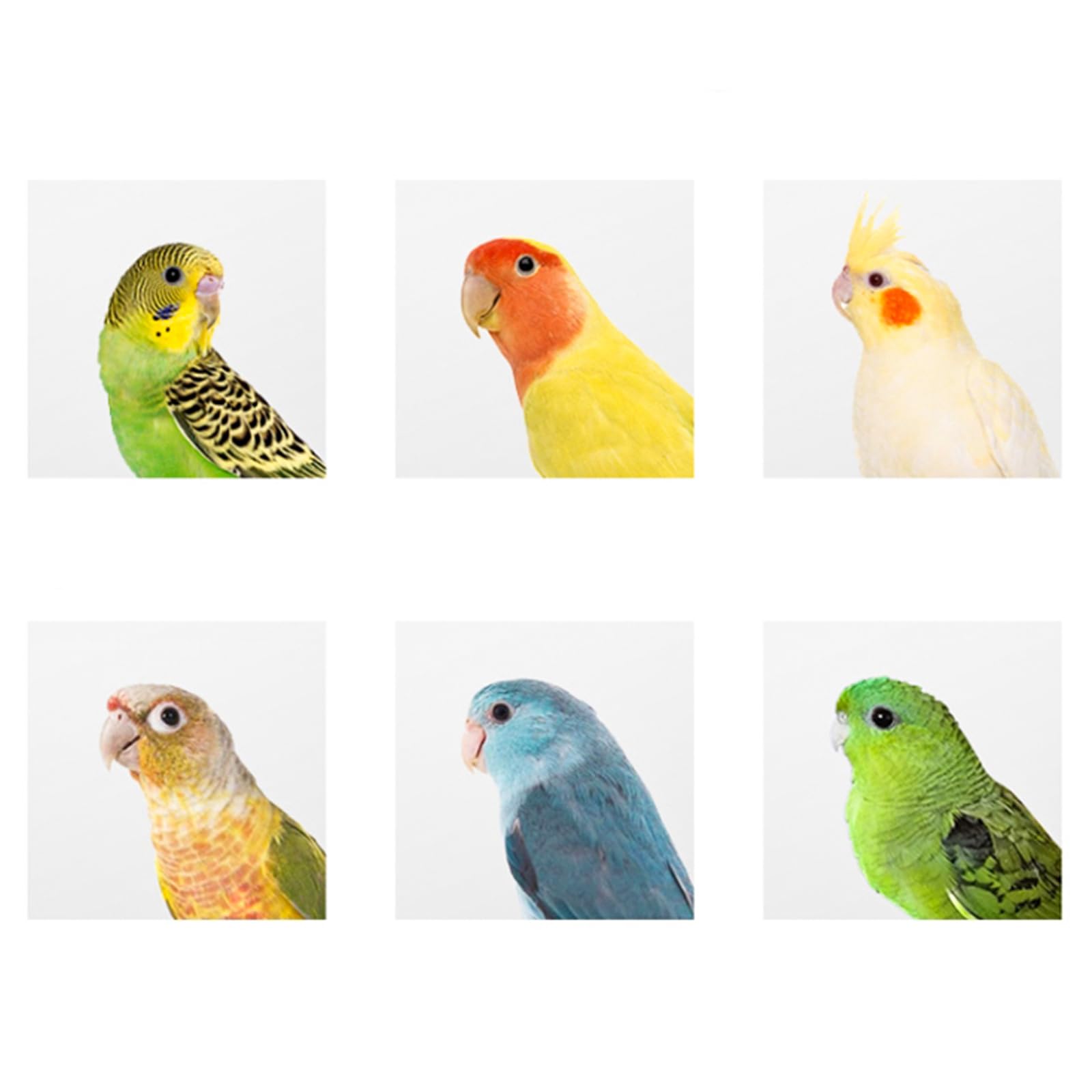 Hiceeden 2-pack nest box nesting use for small parrots