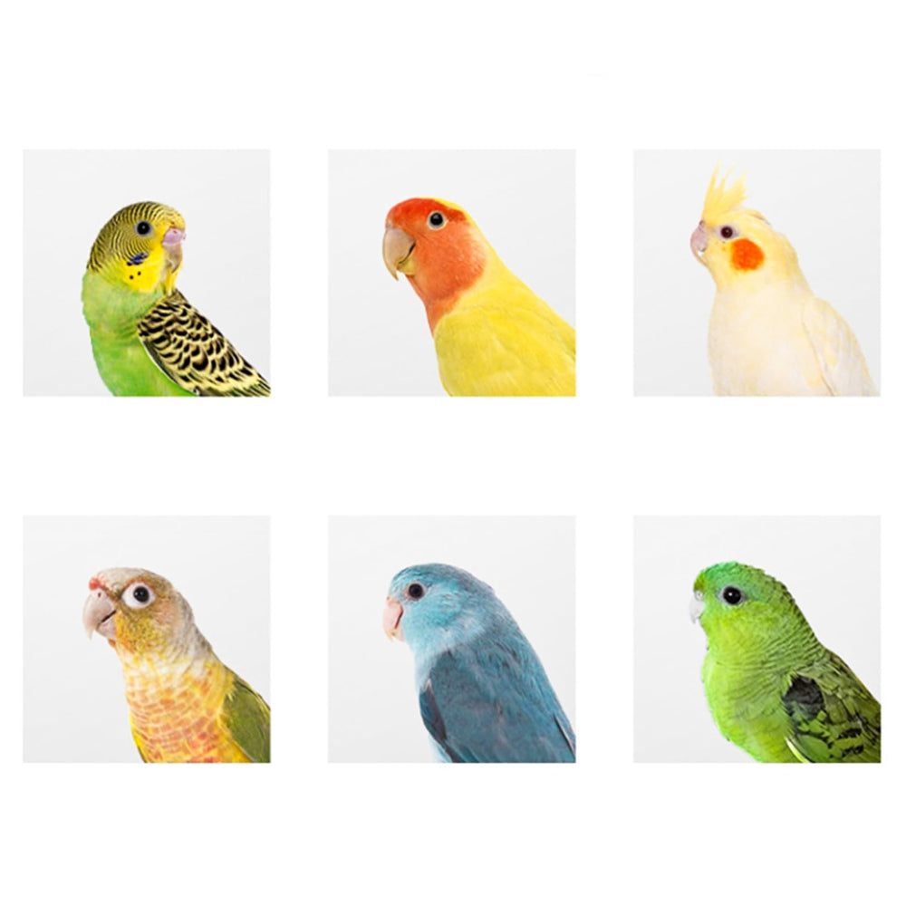 Hiceeden 2-pack nest box nesting use for small parrots