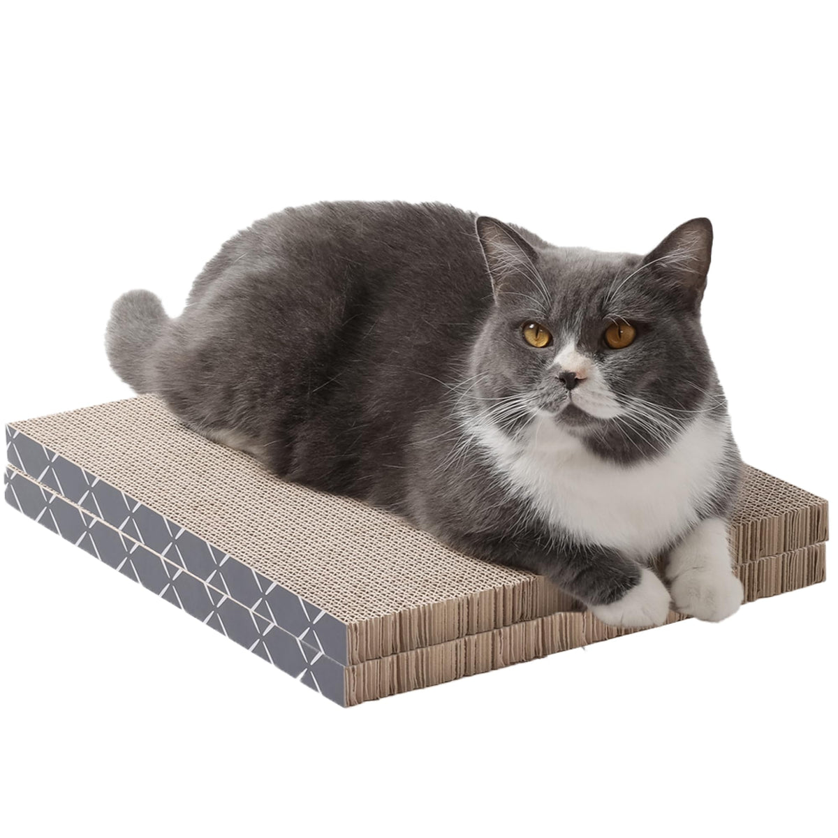 Hide & Scratch cat scratcher pad 2-pack front view for extended, engaging feline scratching