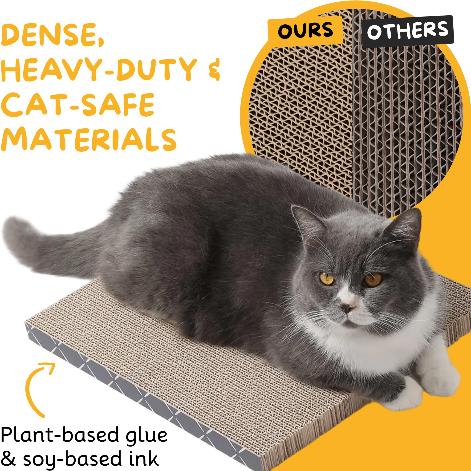 Hide & Scratch kitten playing on pad demonstrates enrichment and indoor activity
