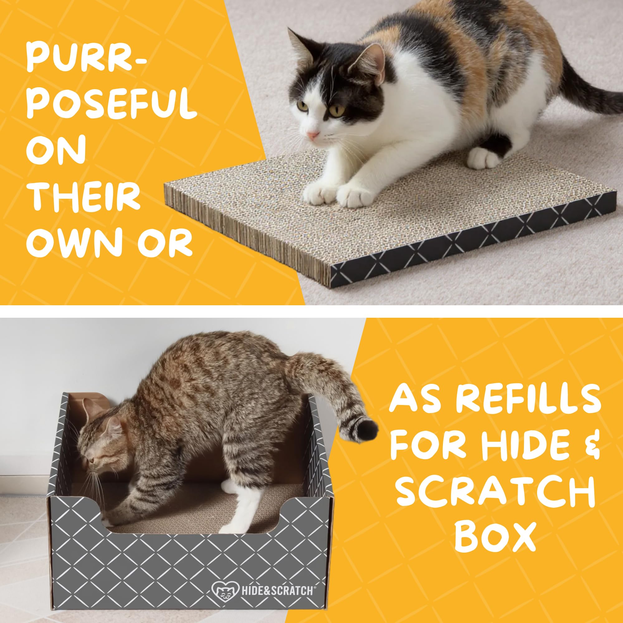 Hide & Scratch small business impact: US-based brand supporting feline nonprofits