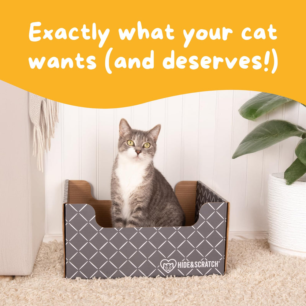 Hide & Scratch packaging image hints at gift-ready presentation
