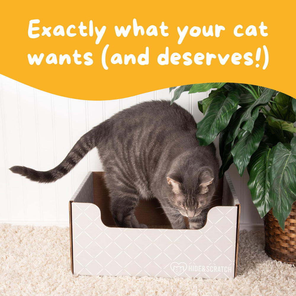 Hide & Scratch refillable surface option allows easy pad replacement.