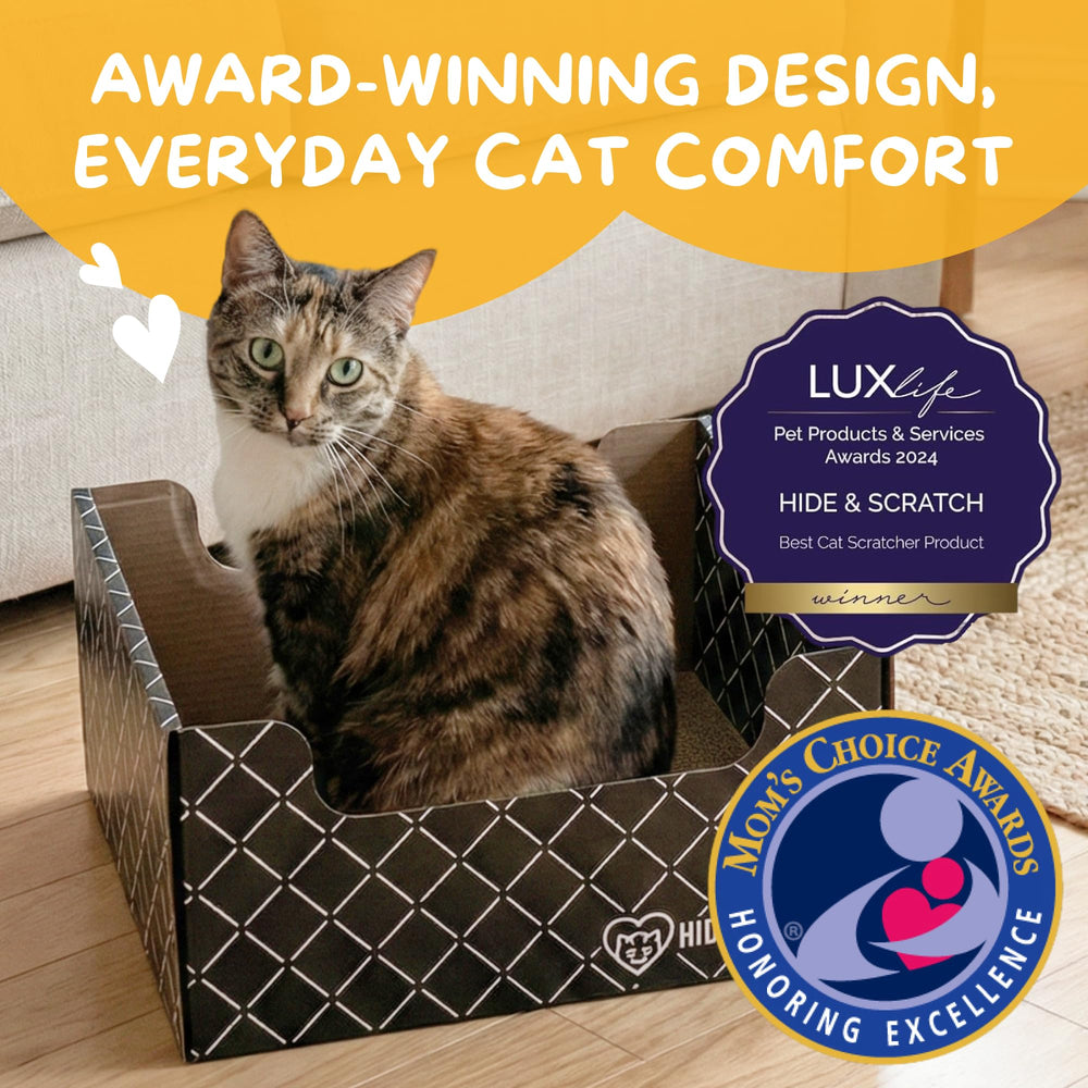Hide & Scratch double sided corrugated pad indoors with cats enjoying scratching and lounging