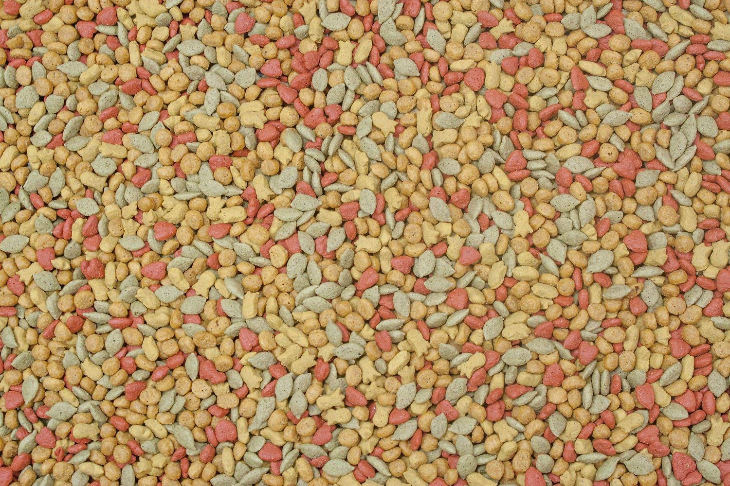 Higgins Intune bird food pellets in dish, shaped for conures and cockatiels.