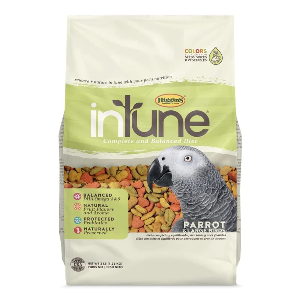 Higgins Intune parrot food close-up ingredients, real fruits and vegetables enhancing flavor and variety.
