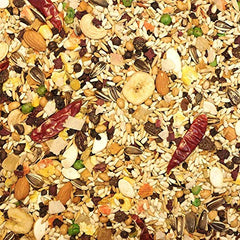 Higgins Mayan Harvest Tikal parrot food two-pack back view highlights ingredients and packaging.