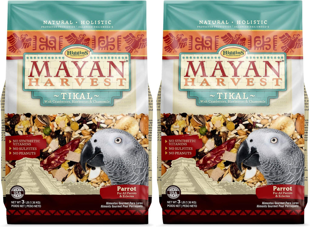 Higgins Mayan Harvest Tikal parrot food two-pack front view, showcasing appealing nutrition.