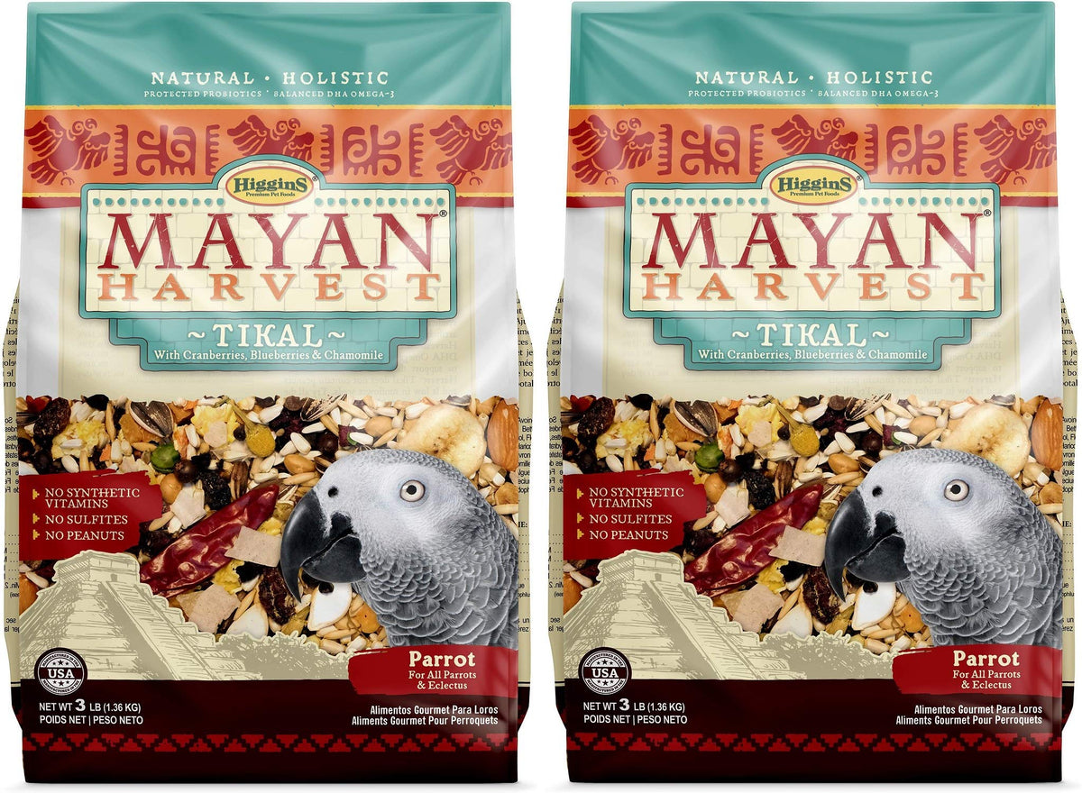 Higgins Mayan Harvest Tikal parrot food two-pack front view, showcasing appealing nutrition.
