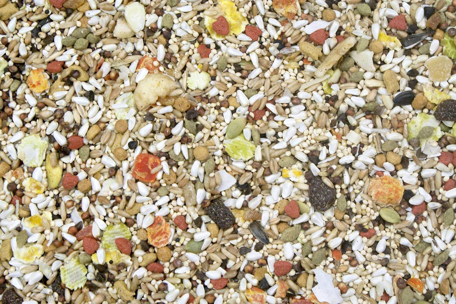 Higgins Safflower Gold natural ingredients highlight safflower seeds with fortified nutrients for birds