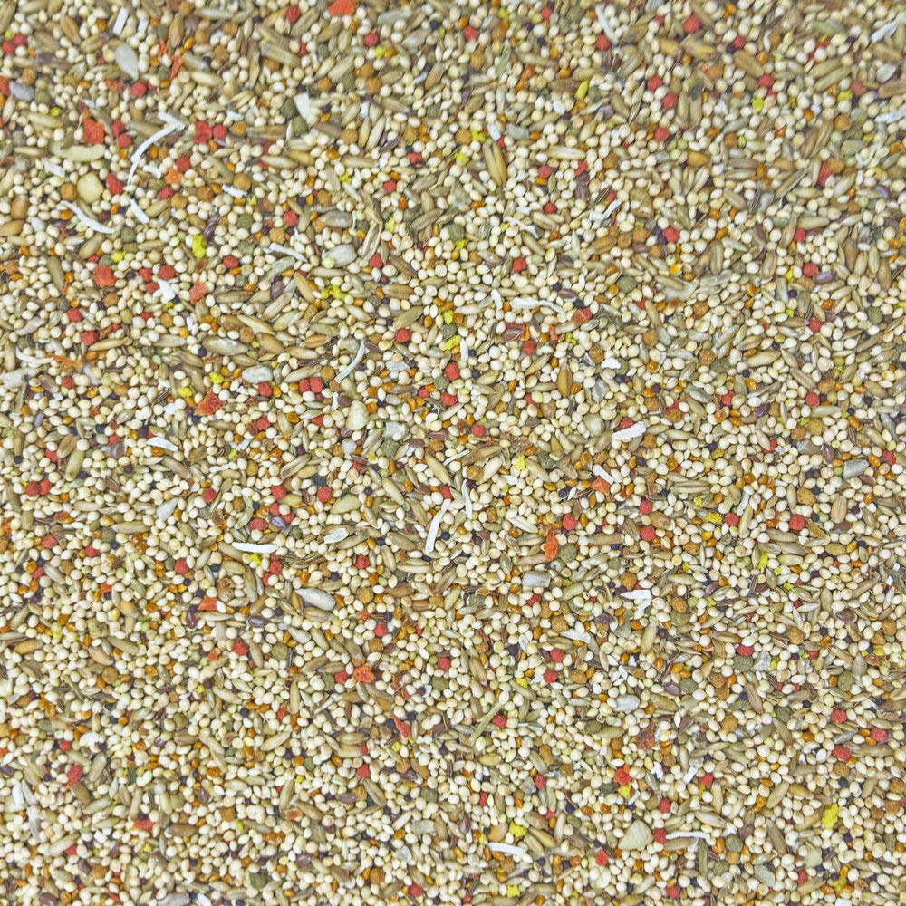 Higgins Sunburst Gourmet Blend parakeet food serving-bowl highlighting colorful mix and nutrition