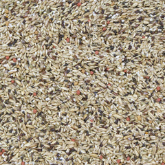Higgins Vita Seed canary feeding setup highlights tasty morsels and easy portioning for birds.