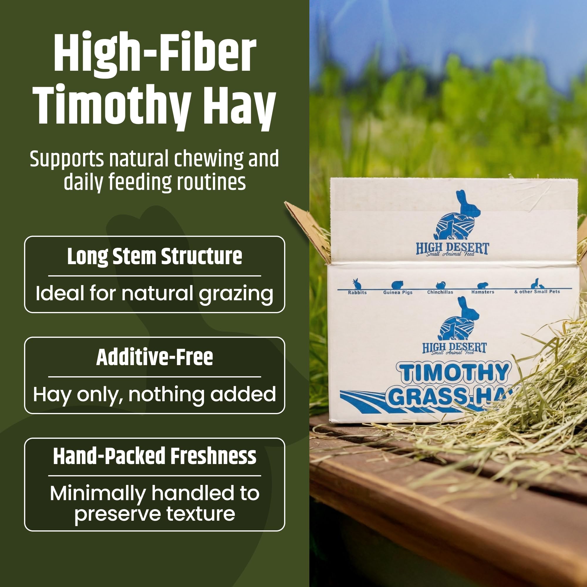 High Desert timothy hay long stems texture promotes natural grazing for small pets