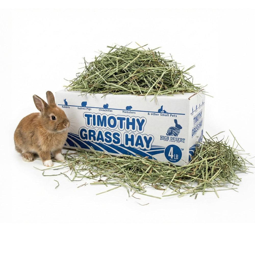 High Desert 1st Cut Timothy Hay for rabbits with long stems encouraging daily chewing