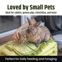 Soft leafy texture supports engaging foraging and gentle nibbling for rabbits
