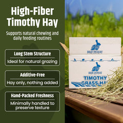 High Desert Timothy hay promotes steady chewing for small pets during routine feeding
