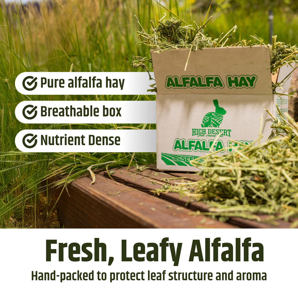 High Desert hand-packed hay preserves aroma and soft texture for daily feeding.
