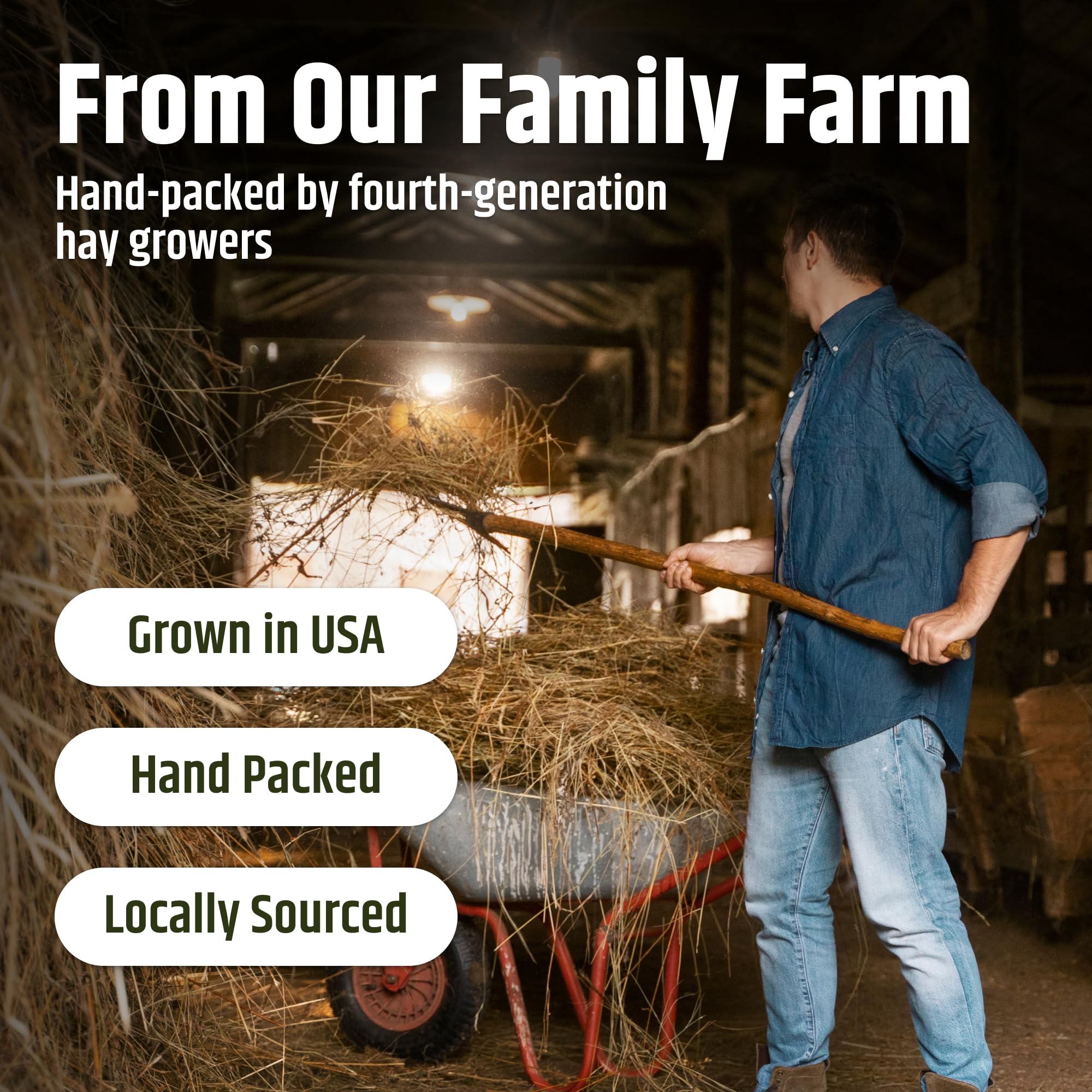 High Desert alfalfa hay ideal for young pets and occasional treats.