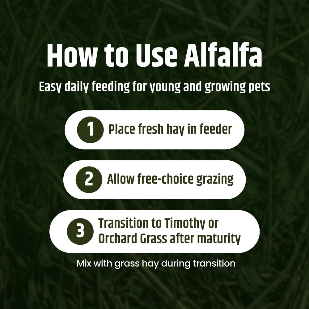 High Desert alfalfa hay provides familiar texture for natural grazing.