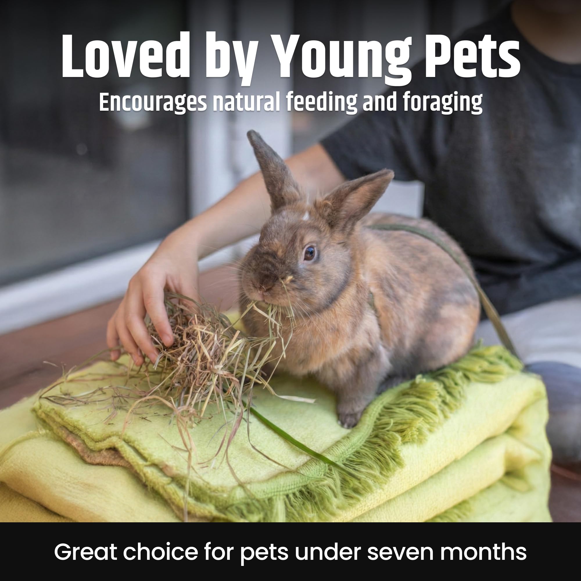 High Desert hay offers a balanced protein and fiber mix for young animals.