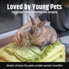 High Desert hay offers a balanced protein and fiber mix for young animals.