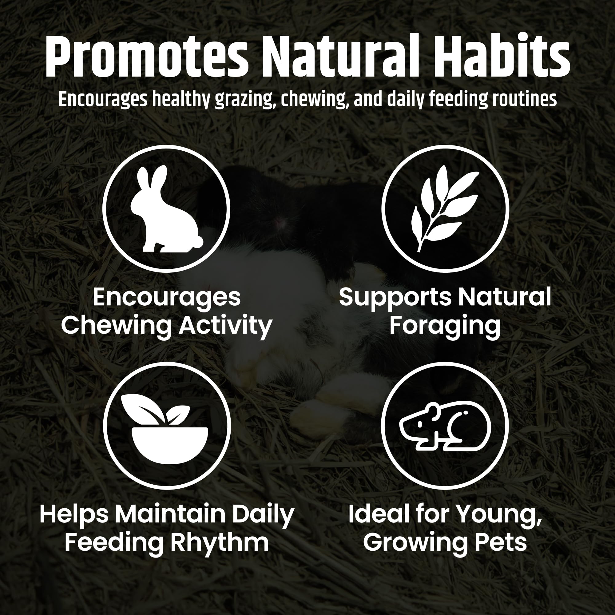 High Desert alfalfa hay is pure and additive-free for simple feeding routines.