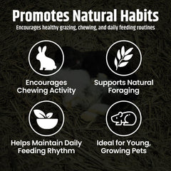 High Desert alfalfa hay is pure and additive-free for simple feeding routines.
