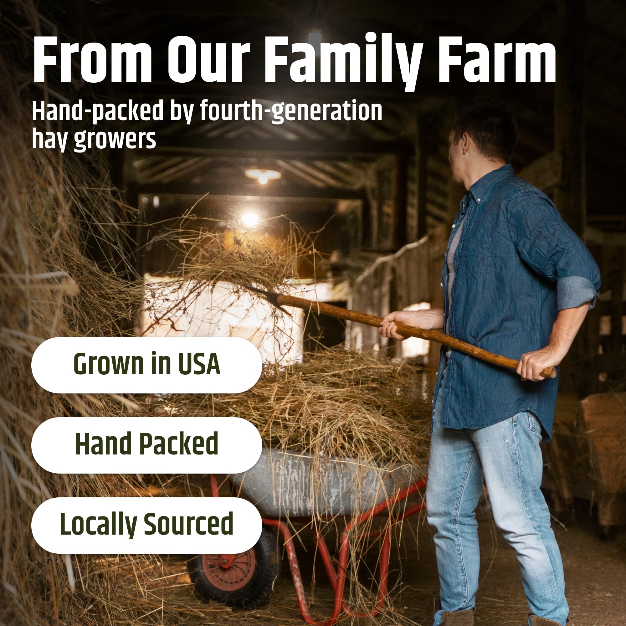 High Desert Orchard Grass Hay soft leaves invite nibbling and steady intake.