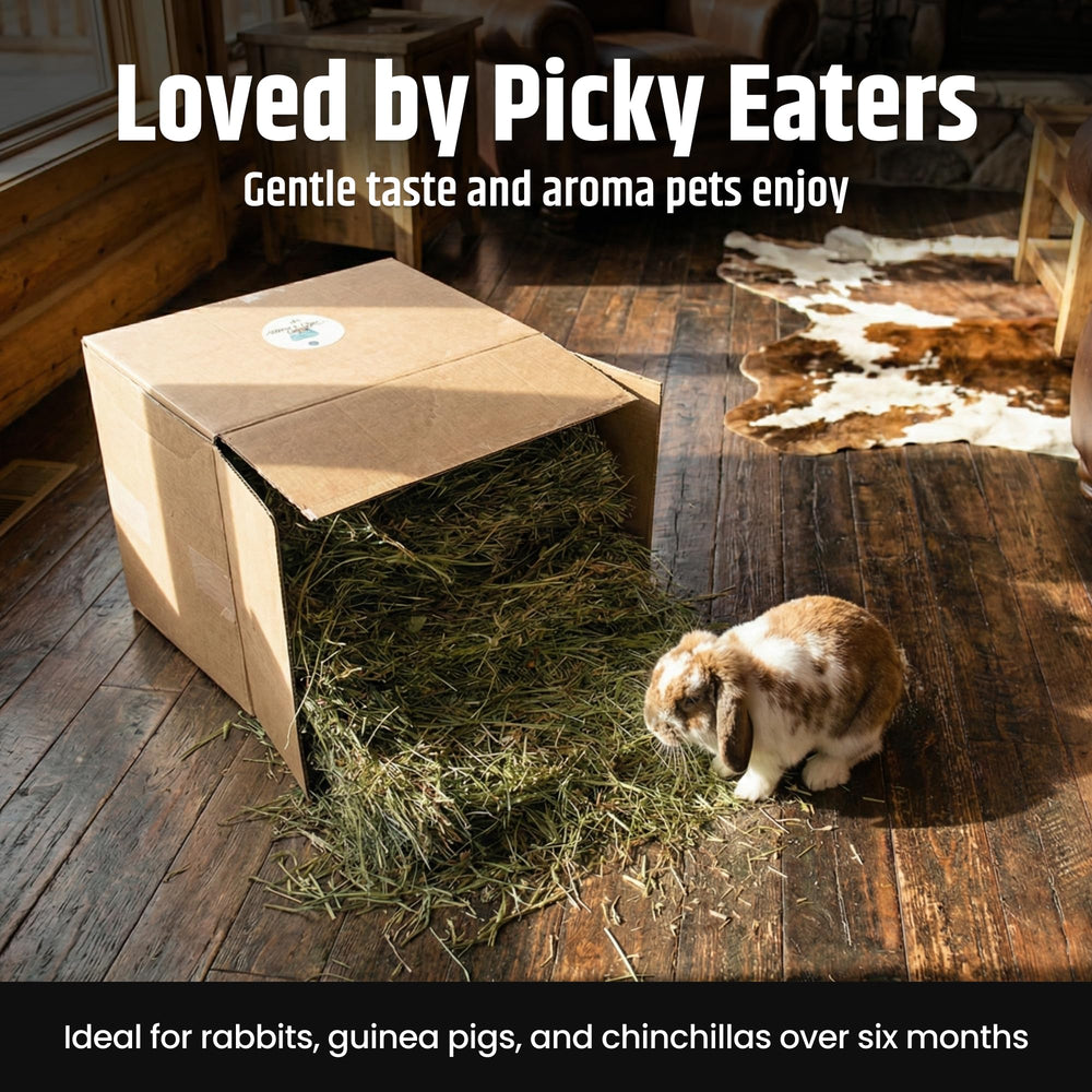 High Desert Orchard Grass Hay for small pets supports natural grazing.