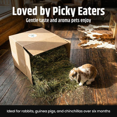 High Desert Orchard Grass Hay for small pets supports natural grazing.