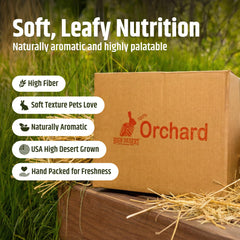High Desert Orchard Grass Hay hand-packed box preserves freshness and aroma.