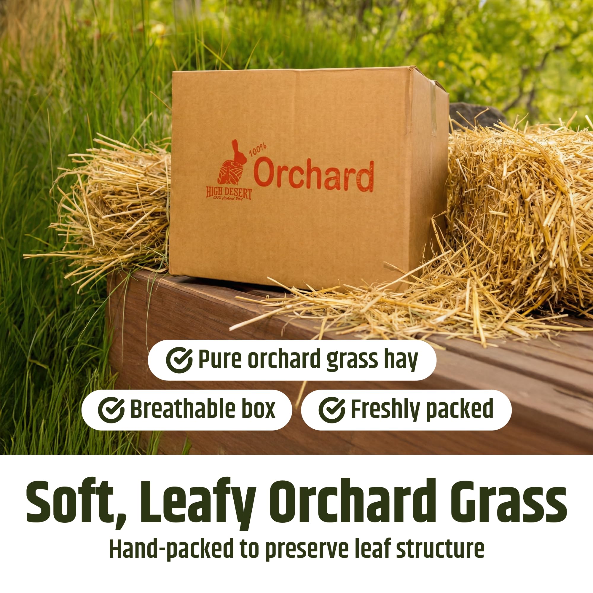 High Desert Orchard Grass Hay close-up leaves showcase leafy structure.