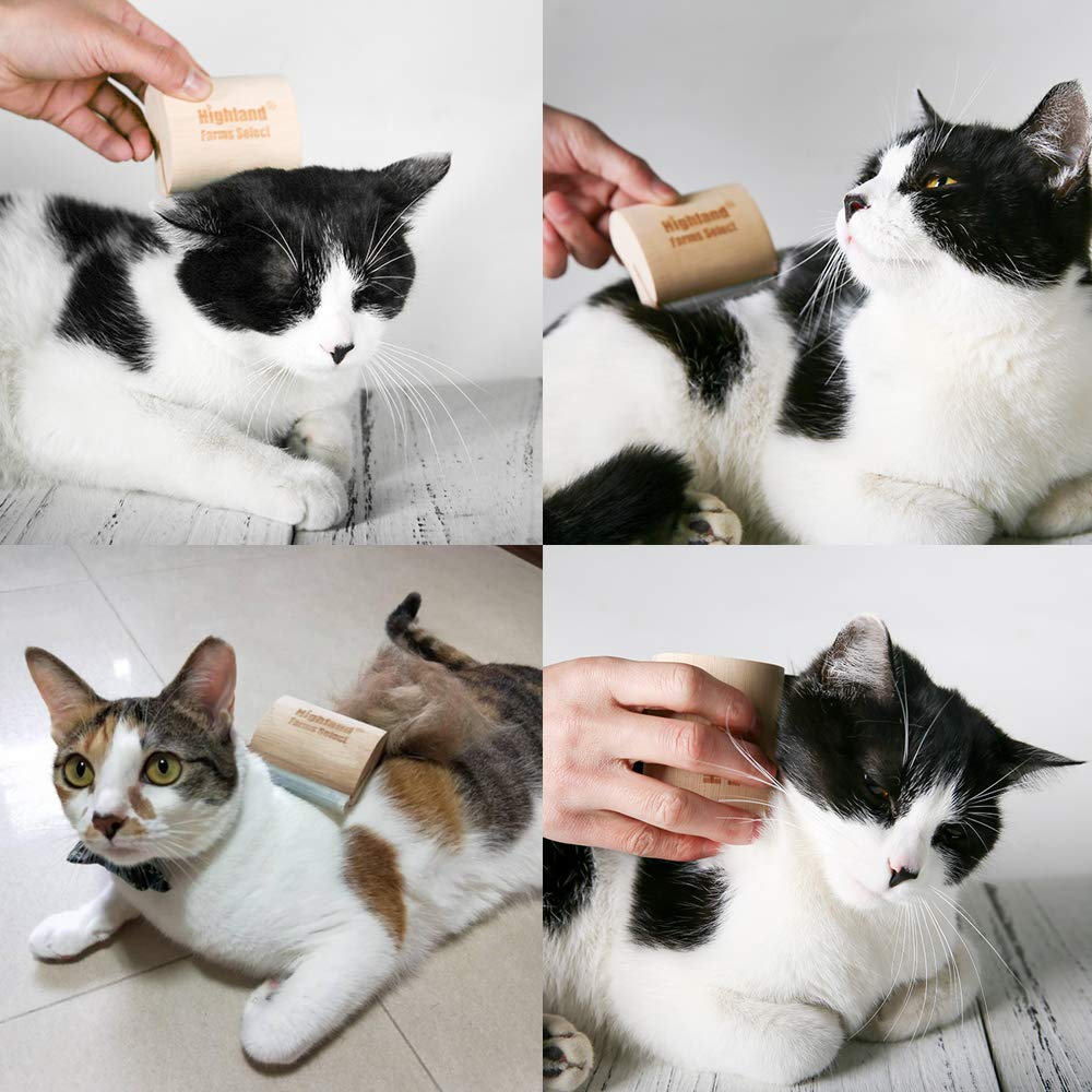 Highland Farms Select grooming with your pet strengthens bonding and trust.