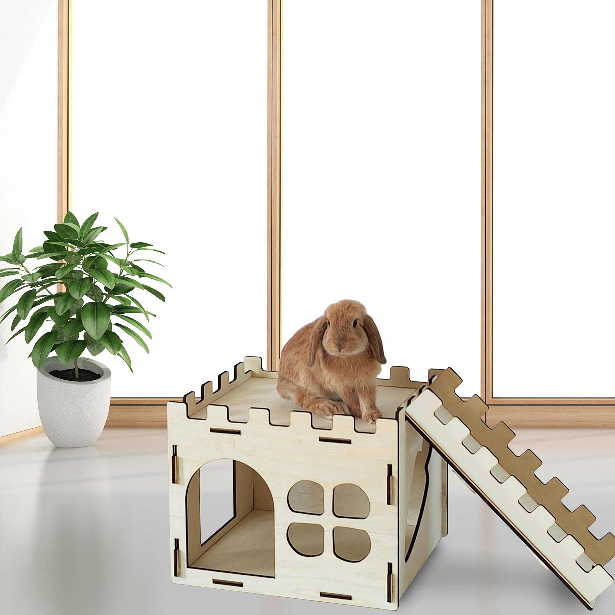 HIIMALEX cute design and home-friendly habitat, blends with decor while supporting pets.