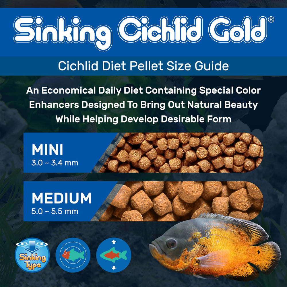 Hikari 2.2lb pellets close-up showing color enhancement in cichlids