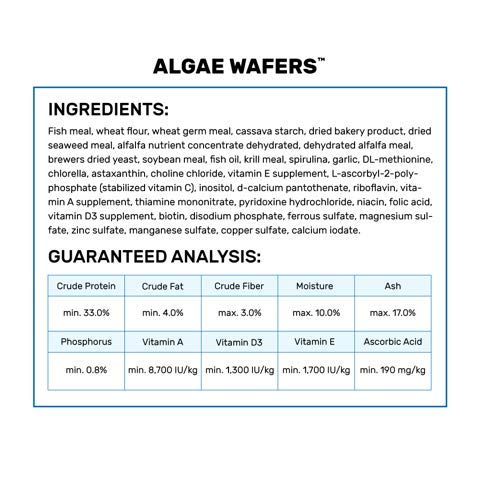 Hikari algae wafers bag back detailing ingredients and spirulina content.