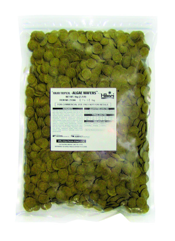 Hikari algae wafers bag front highlights premium pleco diet and brand presence.
