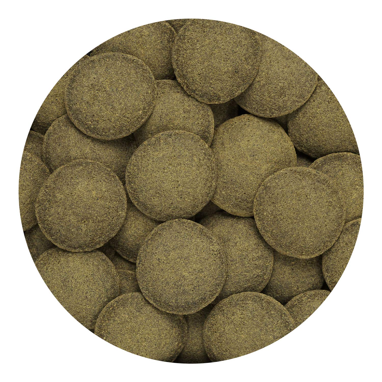 Hikari wafers served in bowl show natural pellet form and palatable texture.