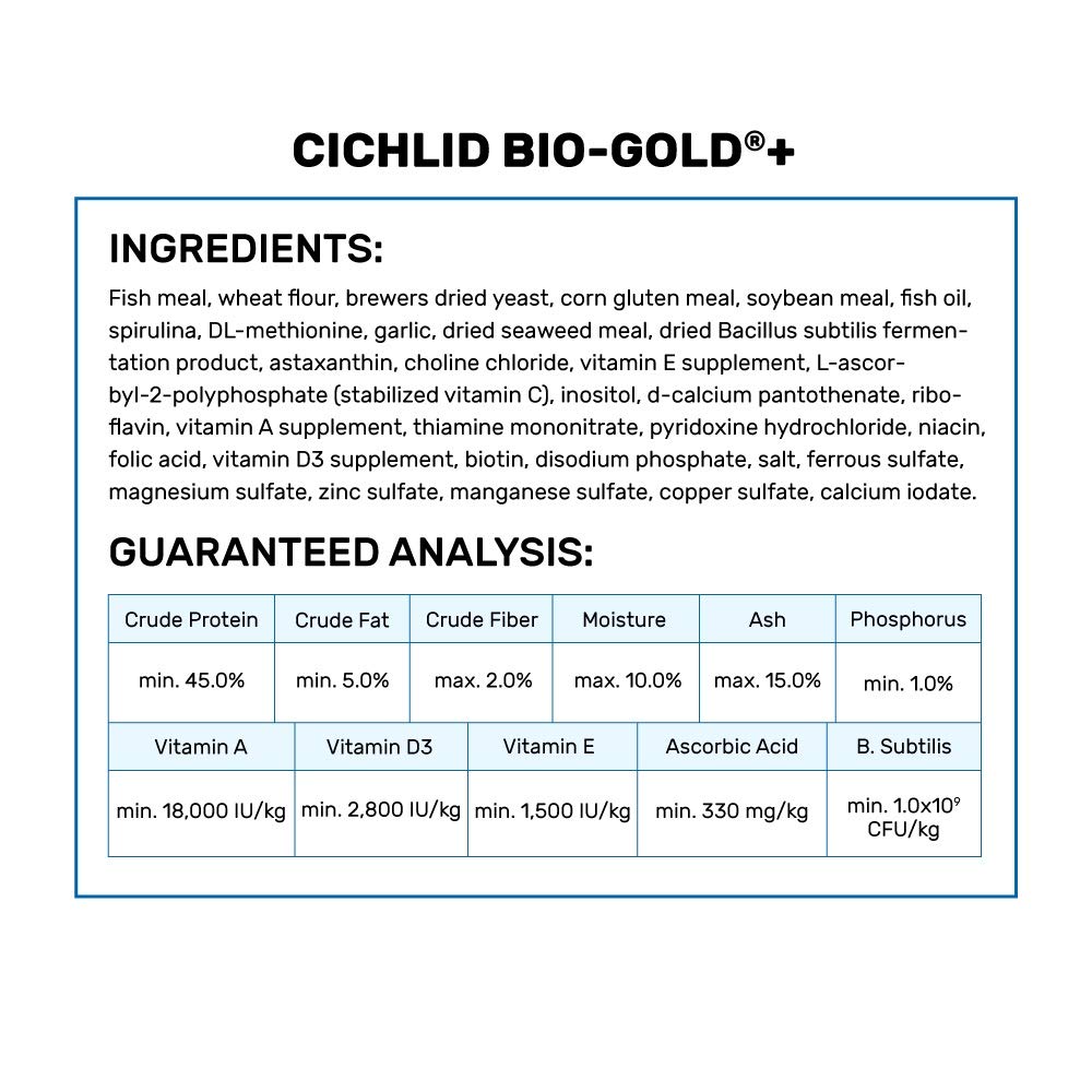 Hikari Bio-Gold Mini serving portions demonstrate controlled feeding.