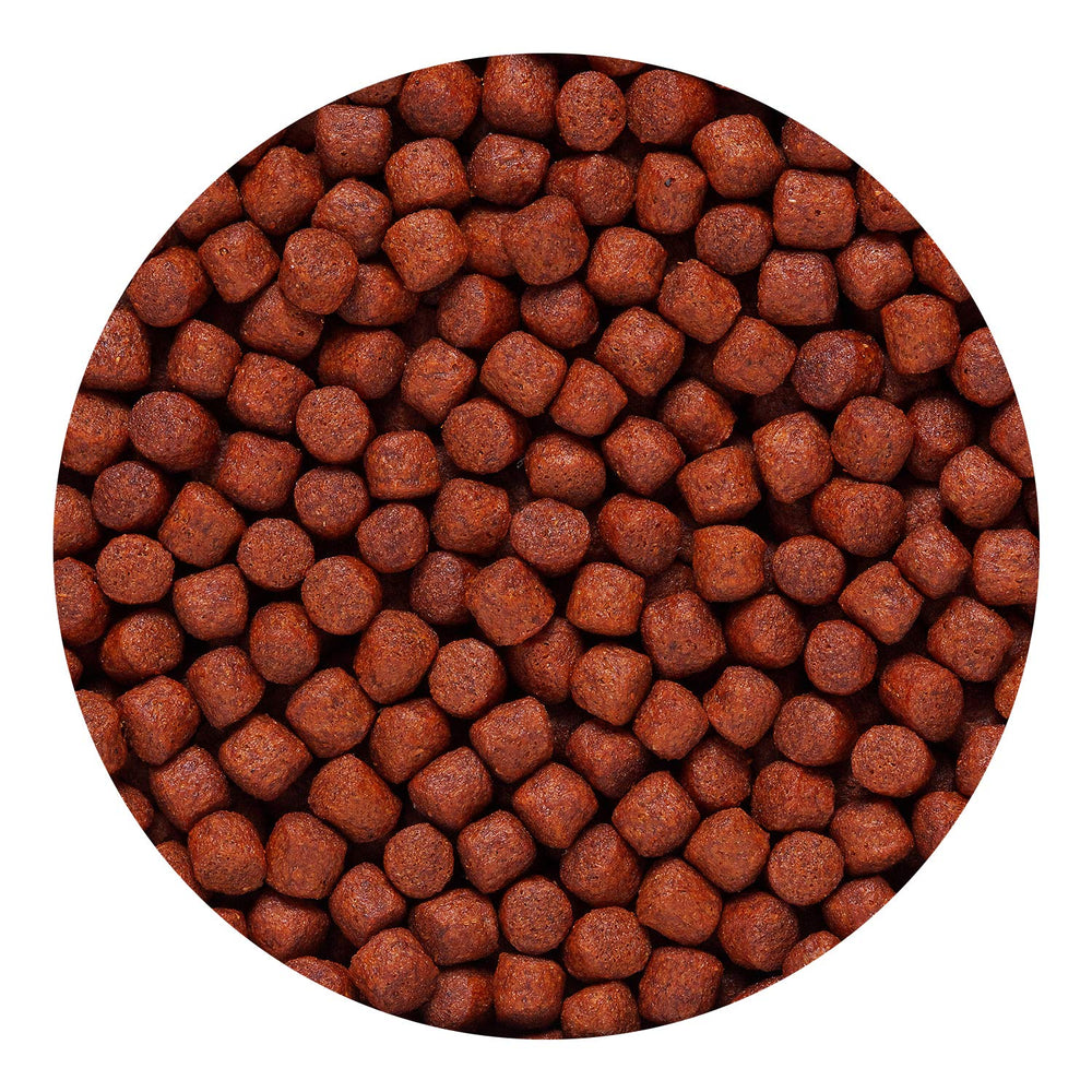 Hikari Blood Red Parrot+ chili and astaxanthin detail for color and flavor.