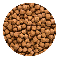 Hikari Cichlid Gold pellets are astaxanthin-rich for color depth.