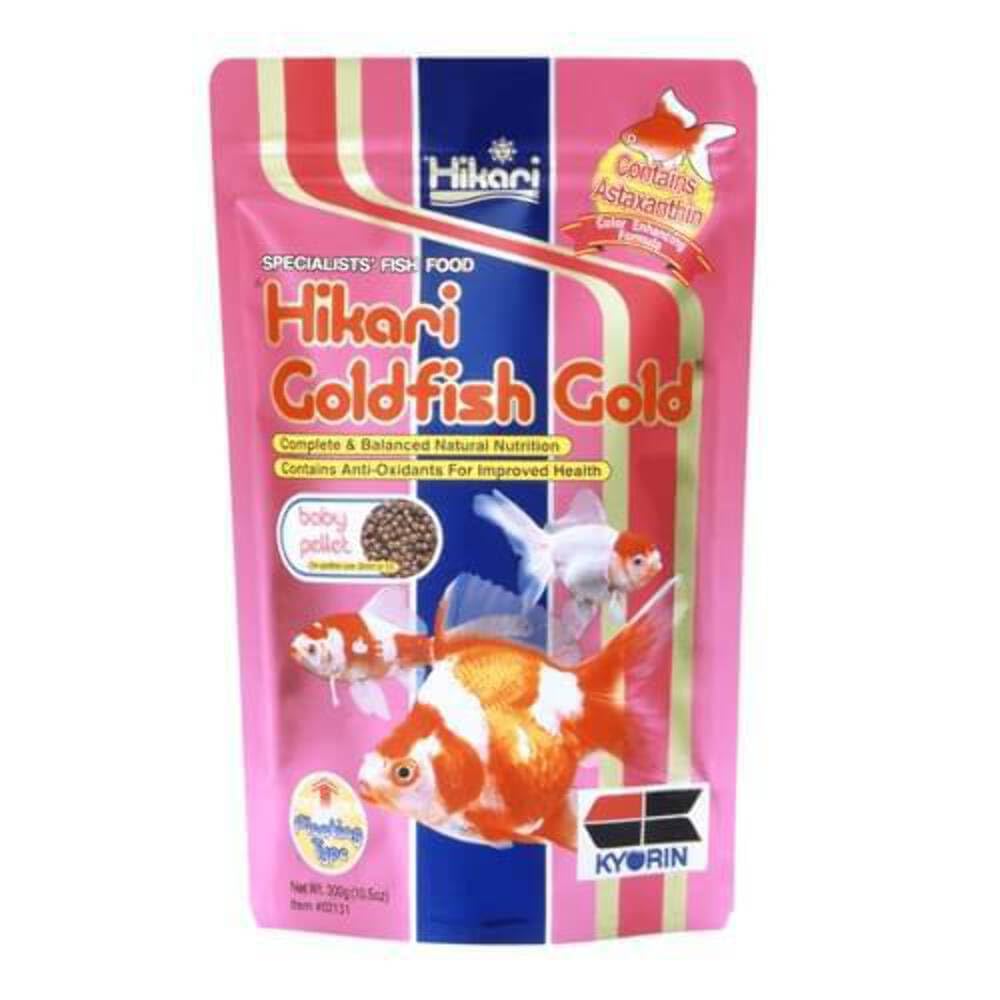 Hikari Gold baby floating pellets in a koi bottle showing easy feeding and color enhancement.