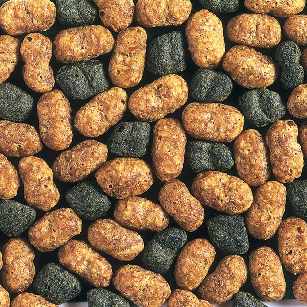 Hikari Hi Growth Large 4.4lb pellets closeup for targeted feeding and growth