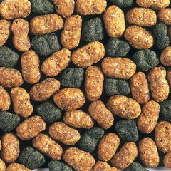 Hikari Hi Growth Large 4.4lb pellets closeup for targeted feeding and growth