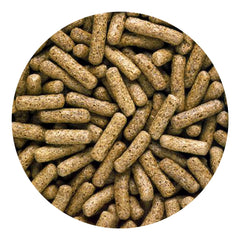Hikari Saki-Turtle Sticks 20oz close-up shows texture and quality.