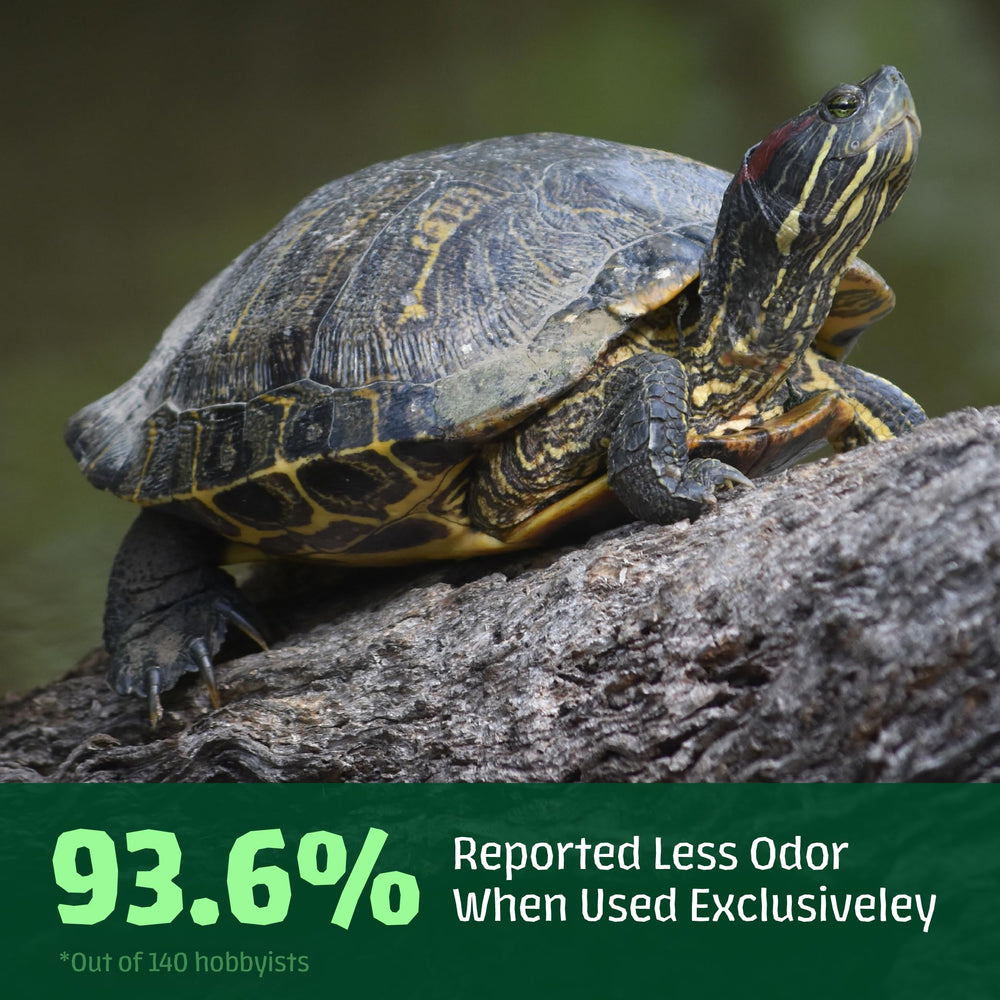 Hikari Saki-Turtle Sticks 20oz tank setup illustrates easy feeding.