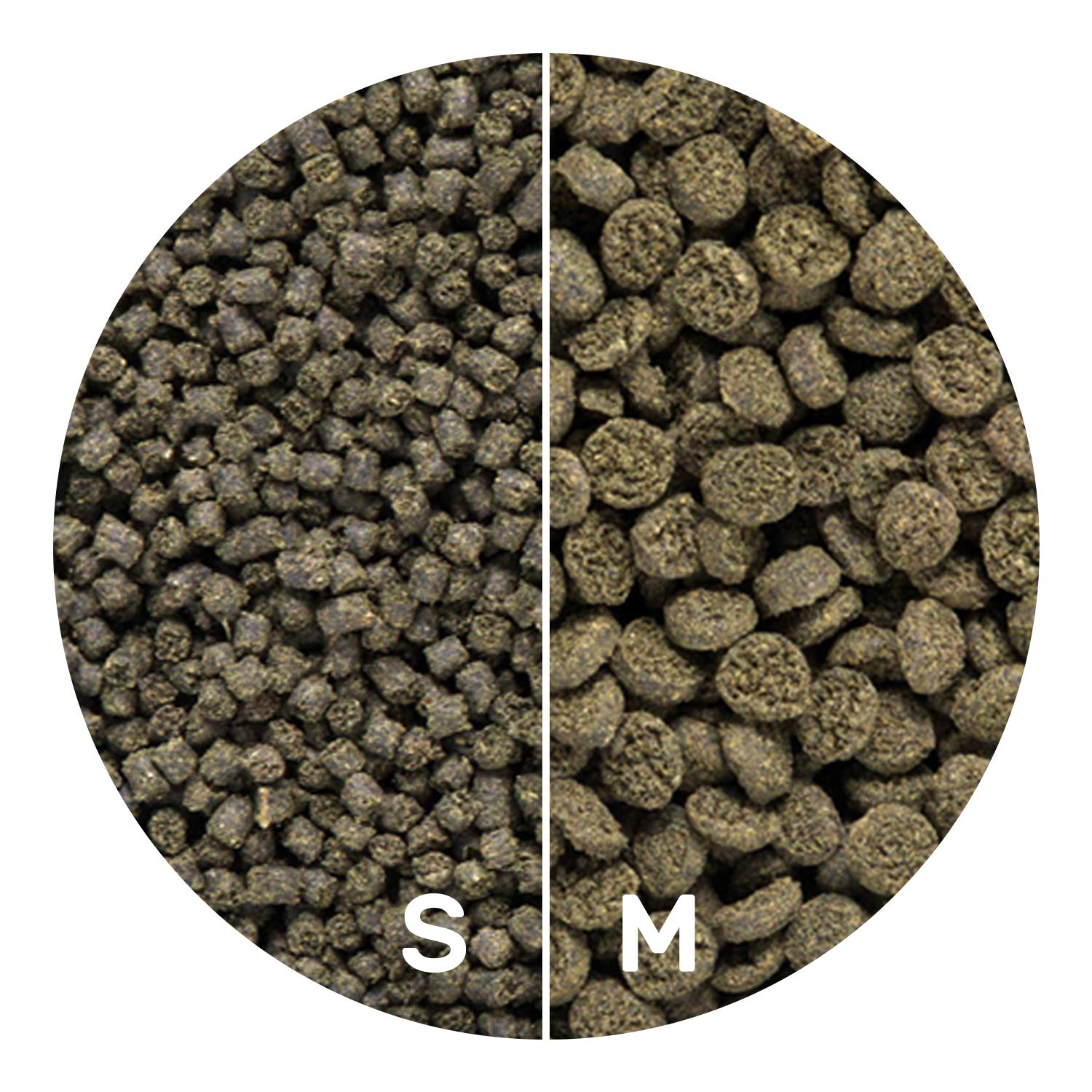 Hikari Seaweed Extreme nutrition supports growth and coloration in reef fish