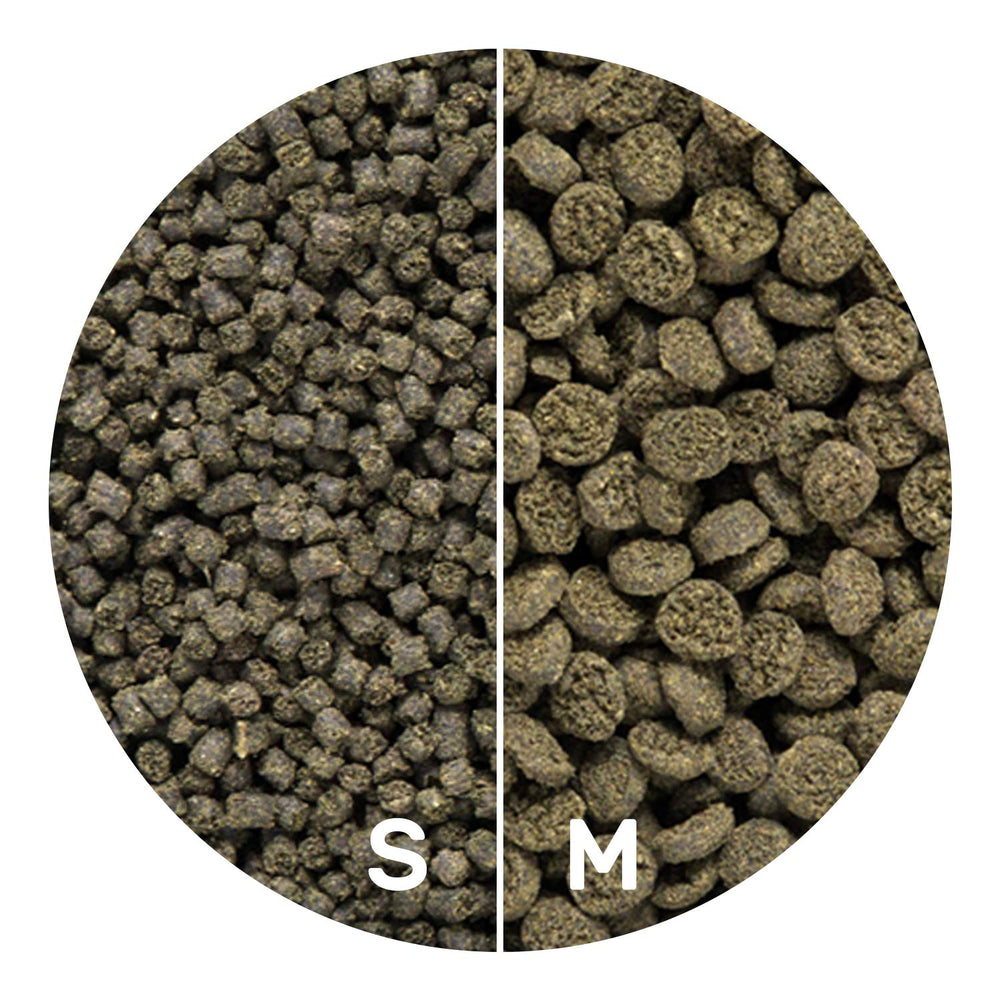 Hikari Seaweed Extreme nutrition supports growth and coloration in reef fish